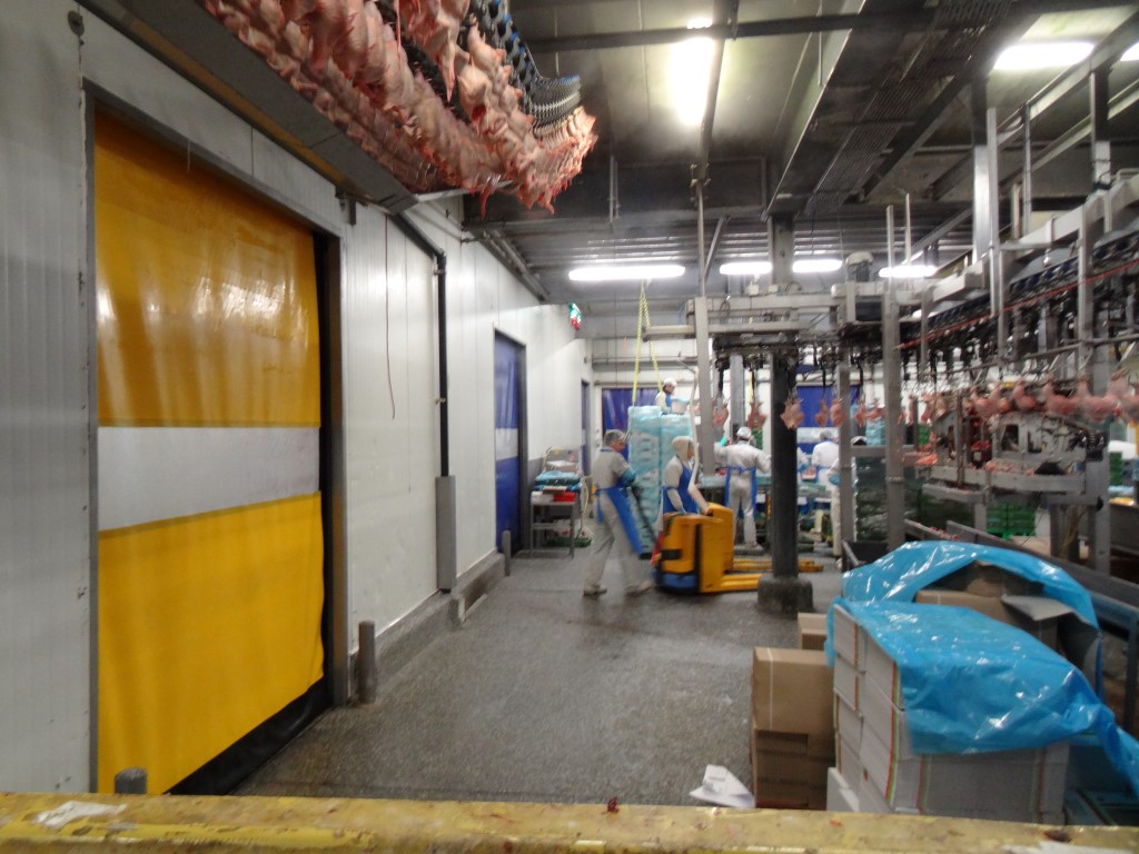 食品行业进口高速门